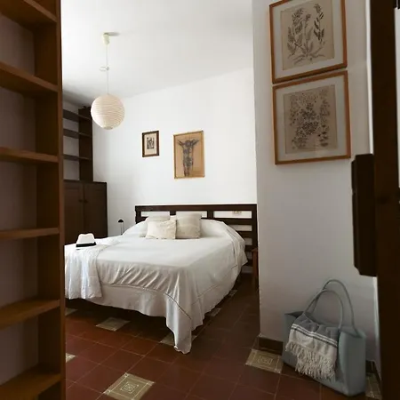 Vicinissima Della Pelosa