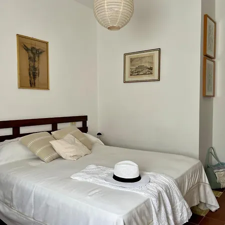 Vicinissima Della Pelosa *